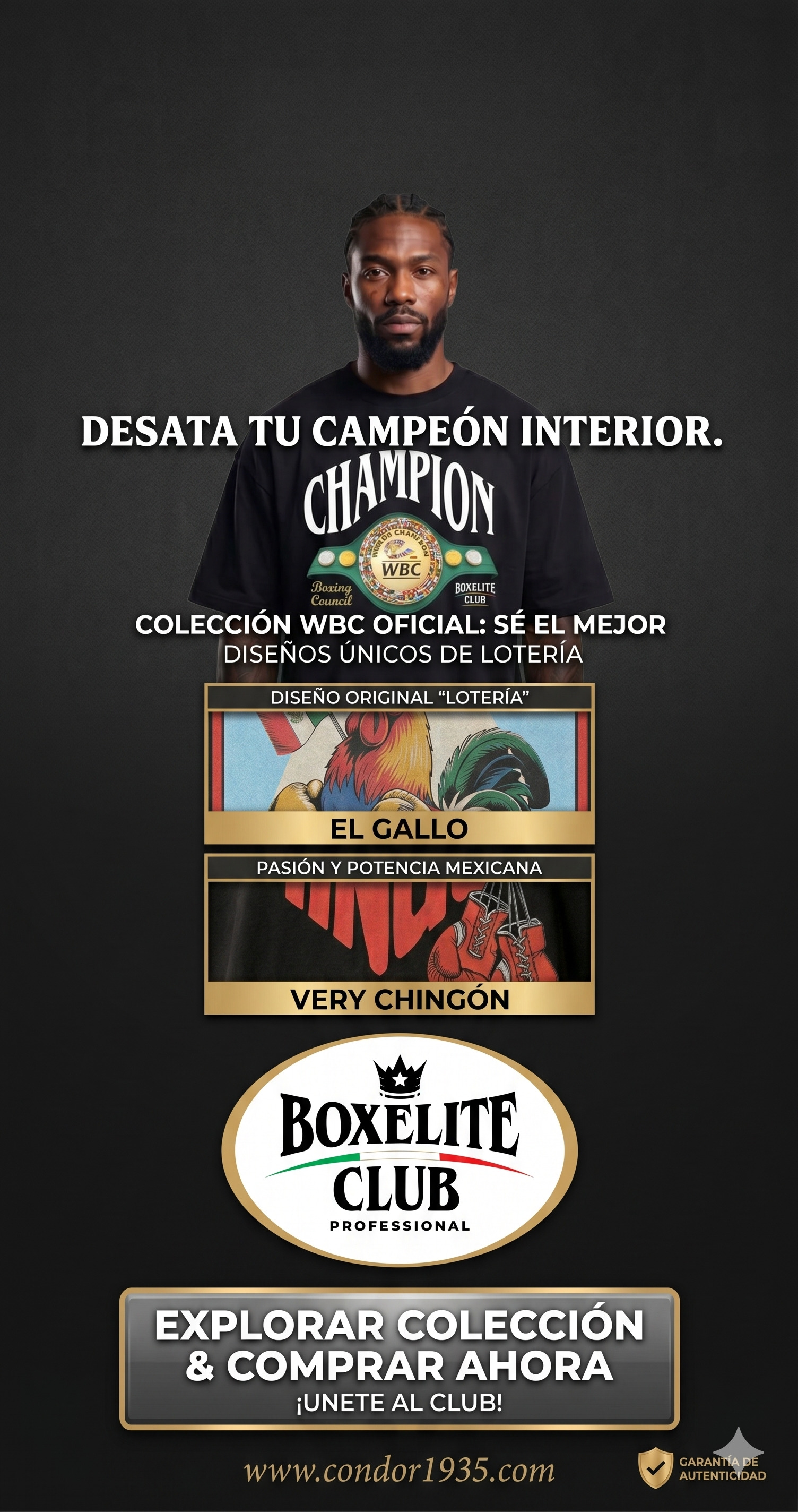 banner camisetas boxelite
