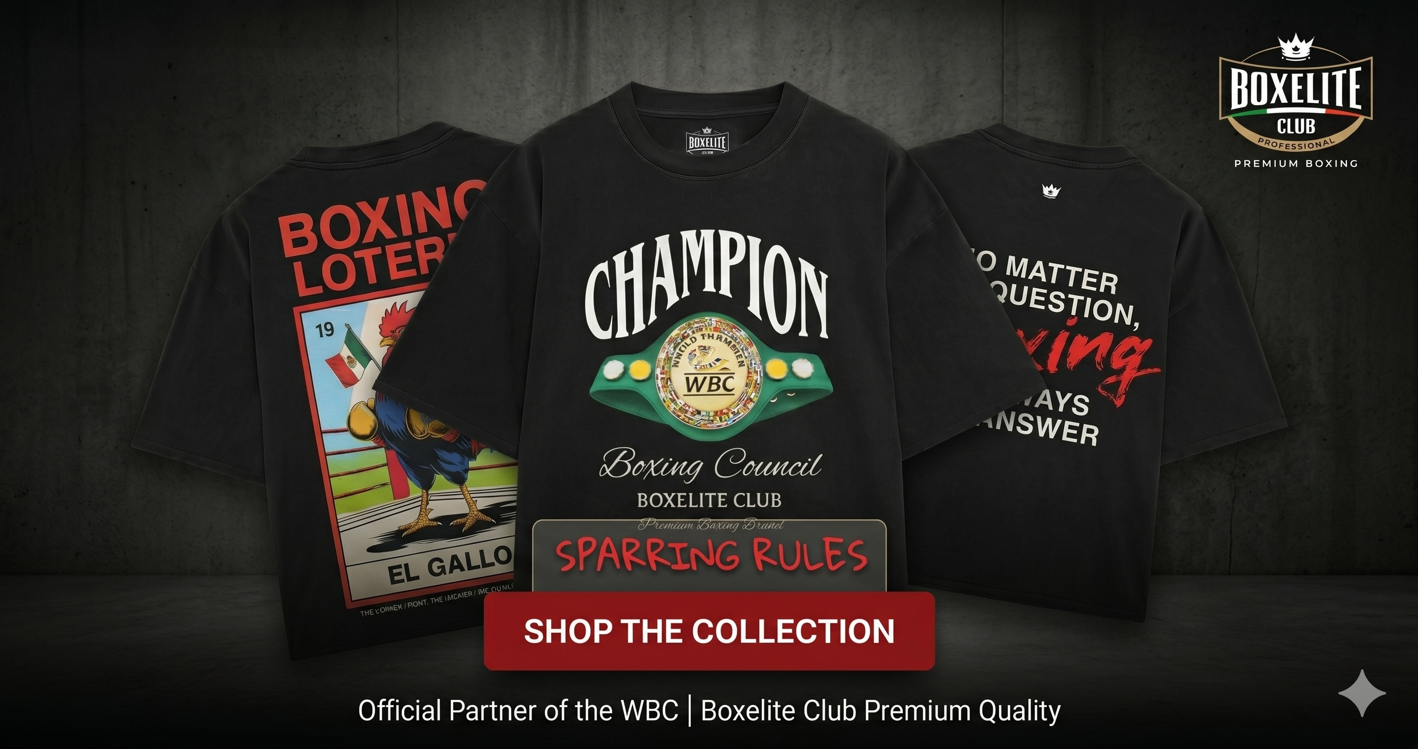 banner camisetas boxelite
