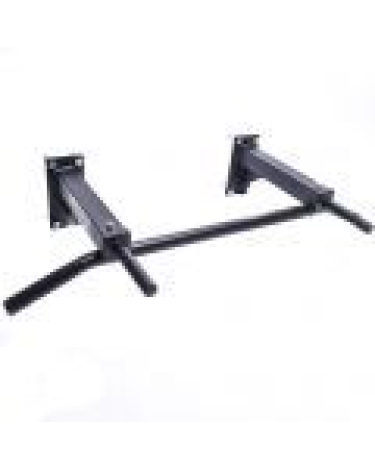 Barra de dominadas y fondos Profesional