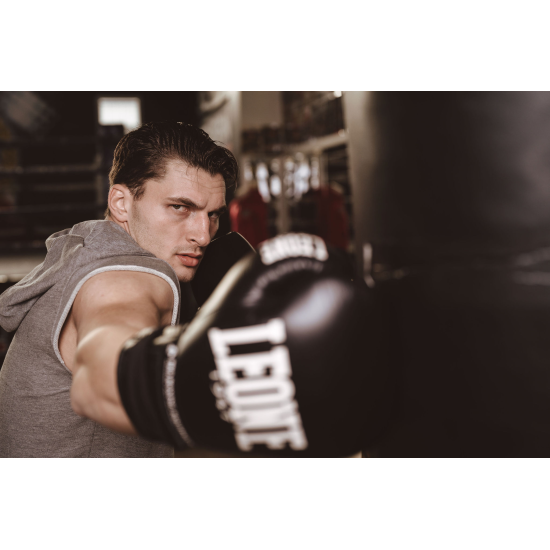 Camiseta Leone 1947 de algodon sin mangas con capucha LSM202 gris