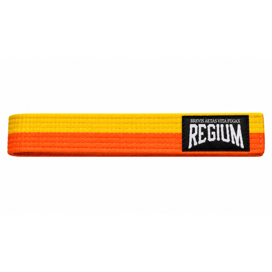 Cinturon artes marciales 240 cm amarillo-naranja
