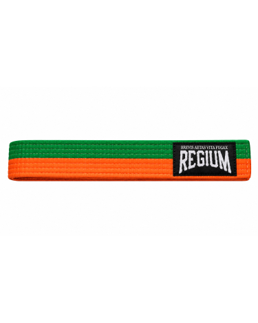 Cinturon artes marciales 240 cm naranja-verde