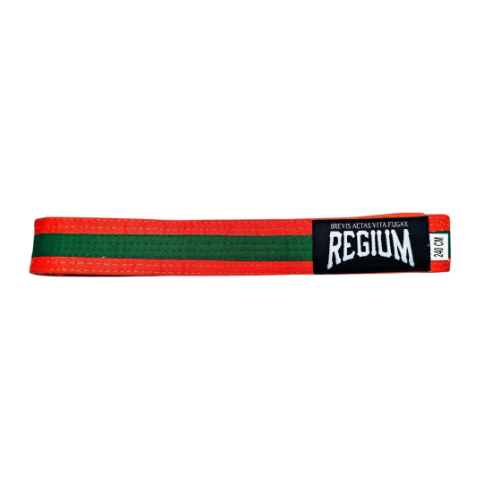 Cinturon de artes marciales bicolor naranja/verde 240 cm