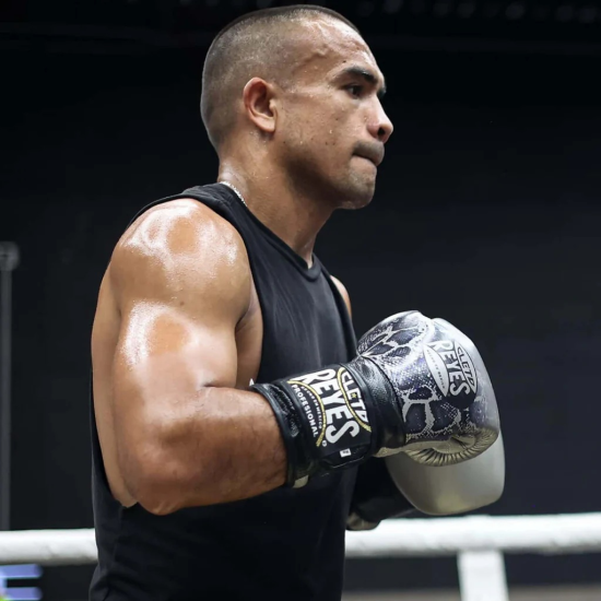 Guantes de boxeo Cleto Reyes "Steel Snake"