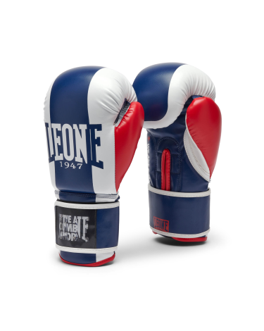 Guantes de boxeo Leone "Color Block" GN334 azul