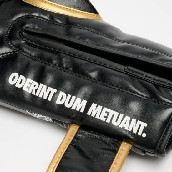 Guantes de boxeo Leone Iuter Barbed wire negro GN02