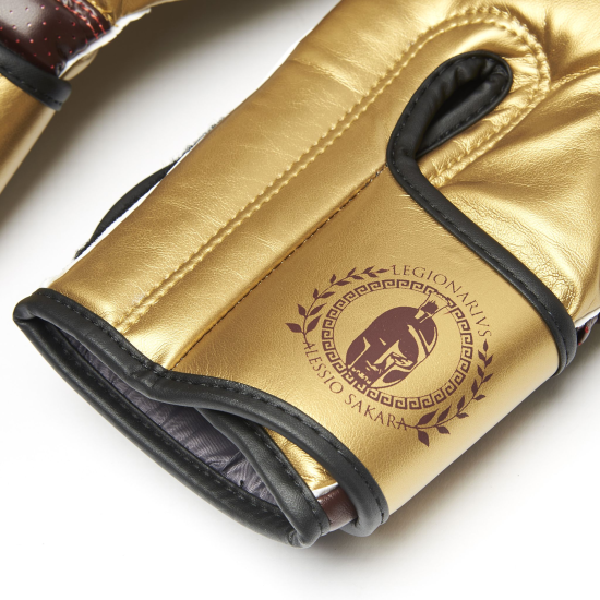 Guantes de Boxeo Leone "Legionarivs" by Alessio Sakara GN202 10 OZ Burdeos
