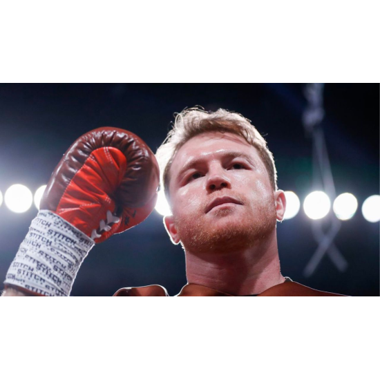 Guantes de Boxeo No Boxing No Life "pro fight" Canelo Vs Berlanga Limited Edition 10 oz