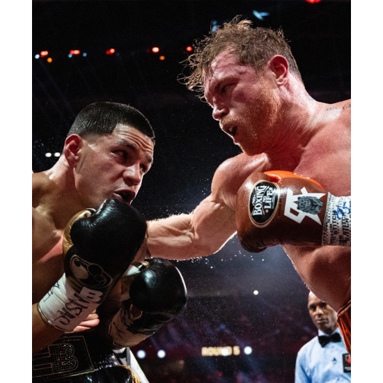 Guantes de Boxeo No Boxing No Life "pro fight" Canelo Vs Berlanga Limited Edition 10 oz