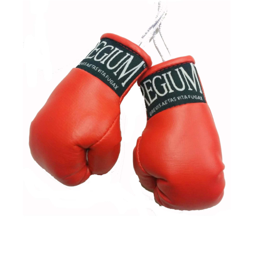 Guantes de Boxeo para Retrovisor Regium rojo