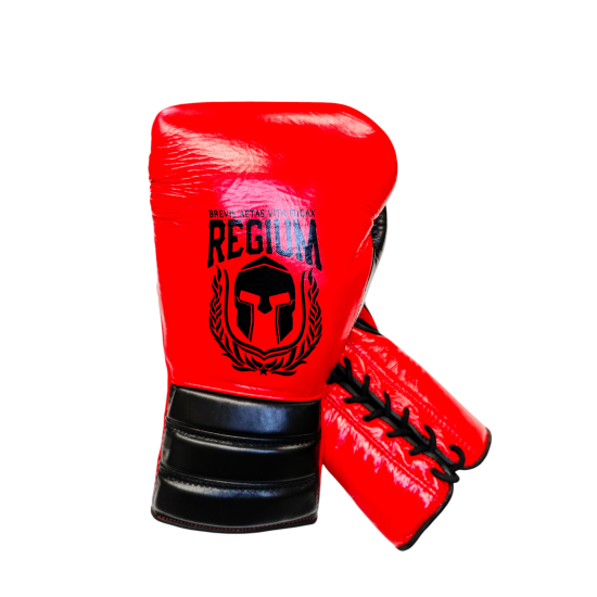 Guantes de boxeo Regium "The Beast"  cuerdas y crin de caballo