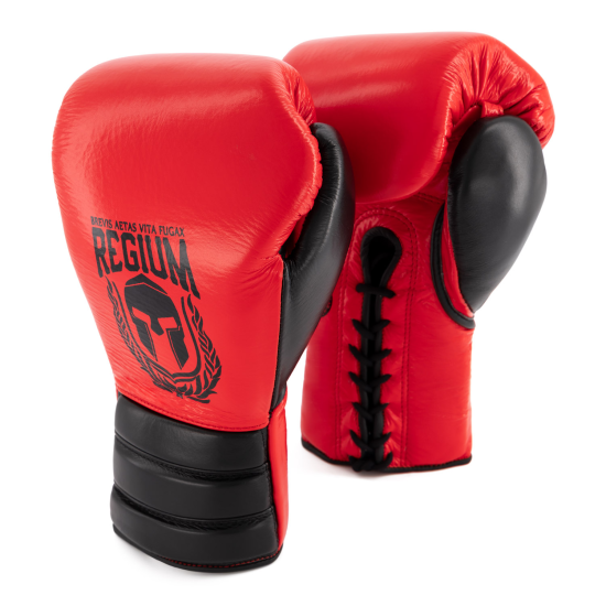 Guantes de boxeo Regium "The Beast"  cuerdas y crin de caballo