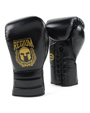 Guantes de boxeo Regium "The Beast Gold"  crin y cuerda