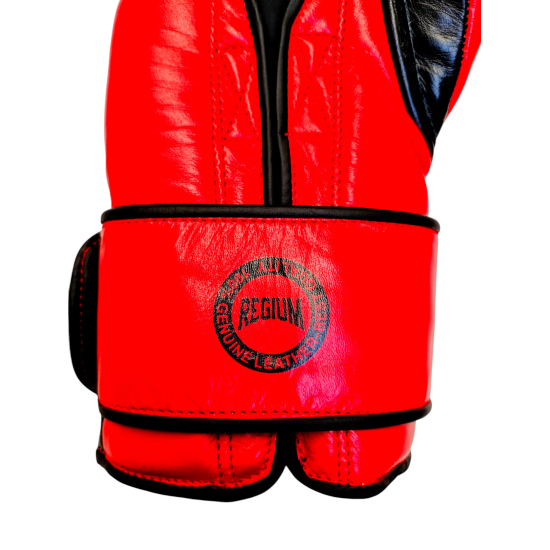 Guantes de boxeo Regium "The Beast" velcro y crin de caballo