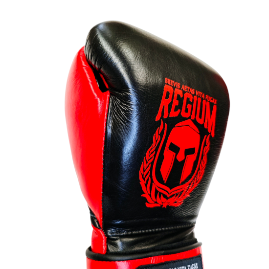 Guantes de boxeo Regium "The Beast" velcro y crin de caballo