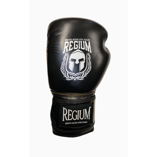 Guantes de Boxeo Regium "Victory Gel MK2"