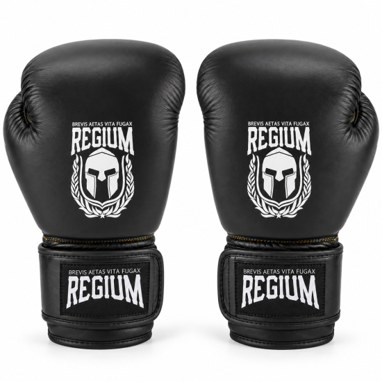 Guantes de Boxeo Regium "Victory Gel MK2"