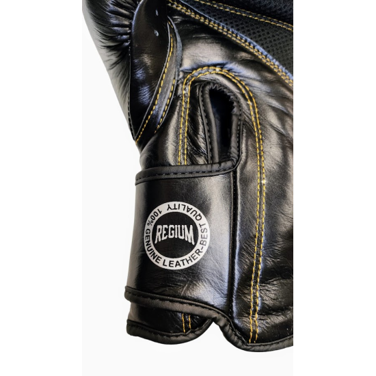 Guantes de Boxeo Regium "Victory Gel MK2"