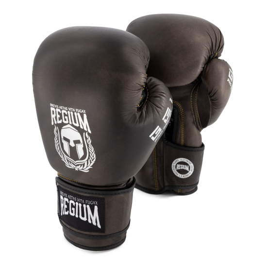 Guantes de Boxeo Regium "Victory Vintage" Gel