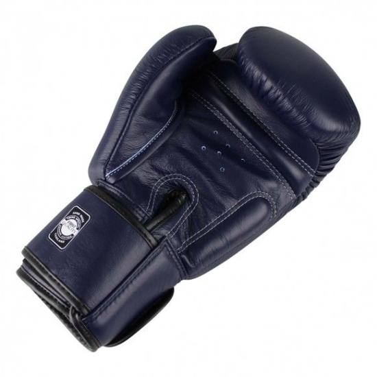 Guantes de Boxeo Twins Special BGVL-3  Color Azul
