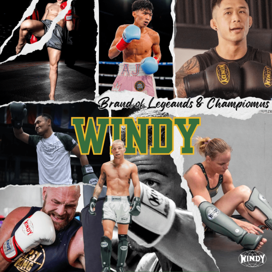 Guantes de boxeo Windy "Proline" BGP marron terracota