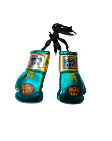 Guantes de retrovisor No Boxing No Life  aqua/oro