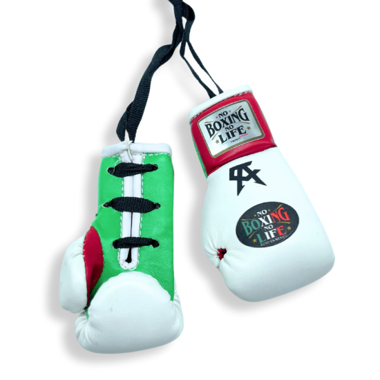 Guantes de retrovisor No Boxing No Life  tricolor Mexico