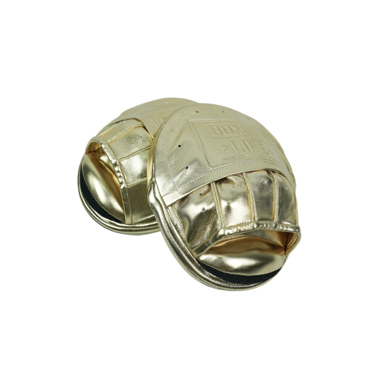 Manoplas profesionales No Boxing No Life Gold