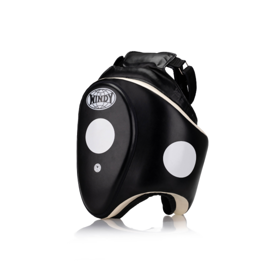 Protectores de Low Kicks profesionales Windy Fightgear