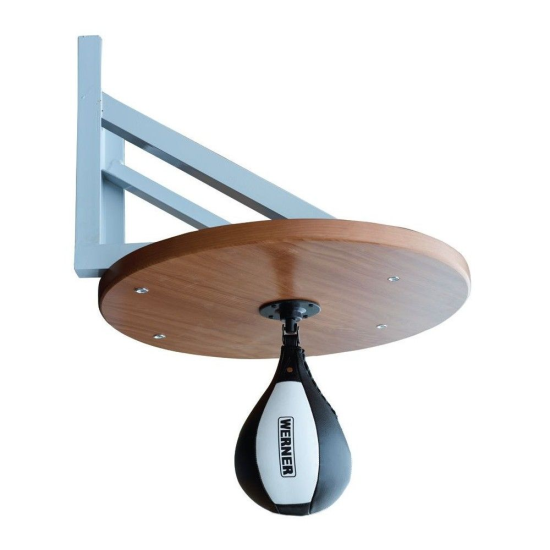 Punching Ball profesional de pared con tablero de 60 cm