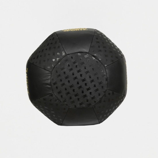 Saco de boxeo Leone 1947 de 12 kg AT852